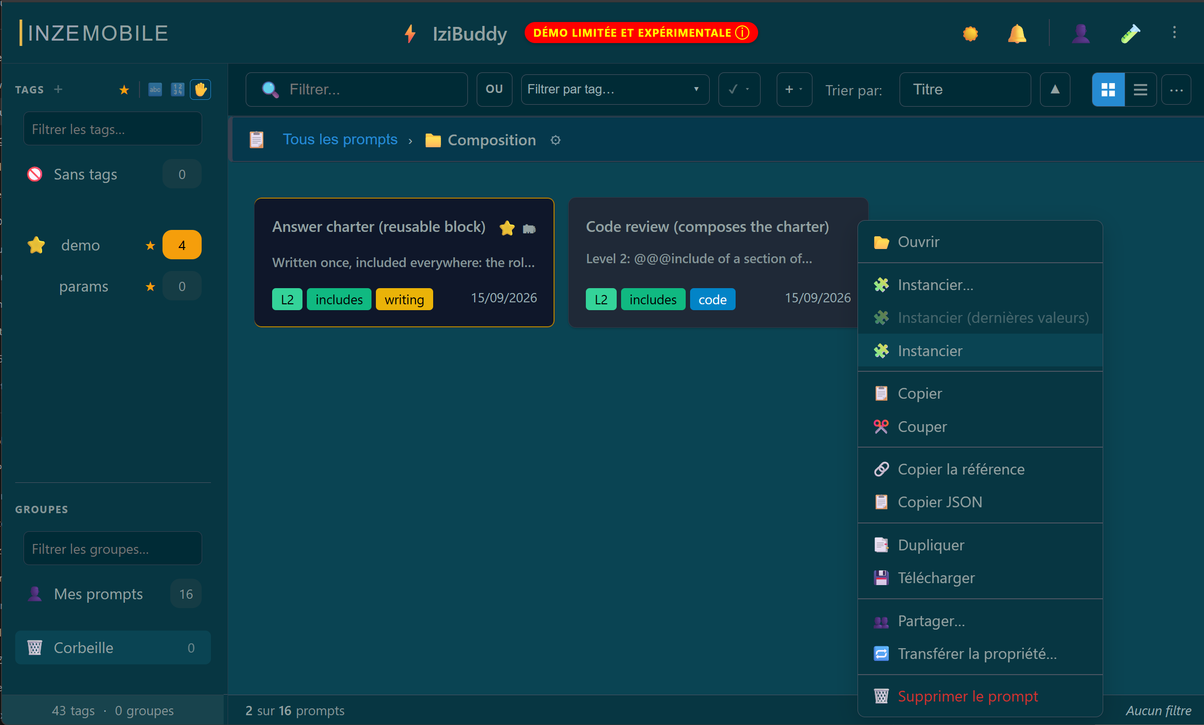IziBuddy demo library: Answer charter and Code review prompts, tags and prompt actions.